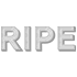 RIPE(ライプ)こだわりの会員制フルーツBAR